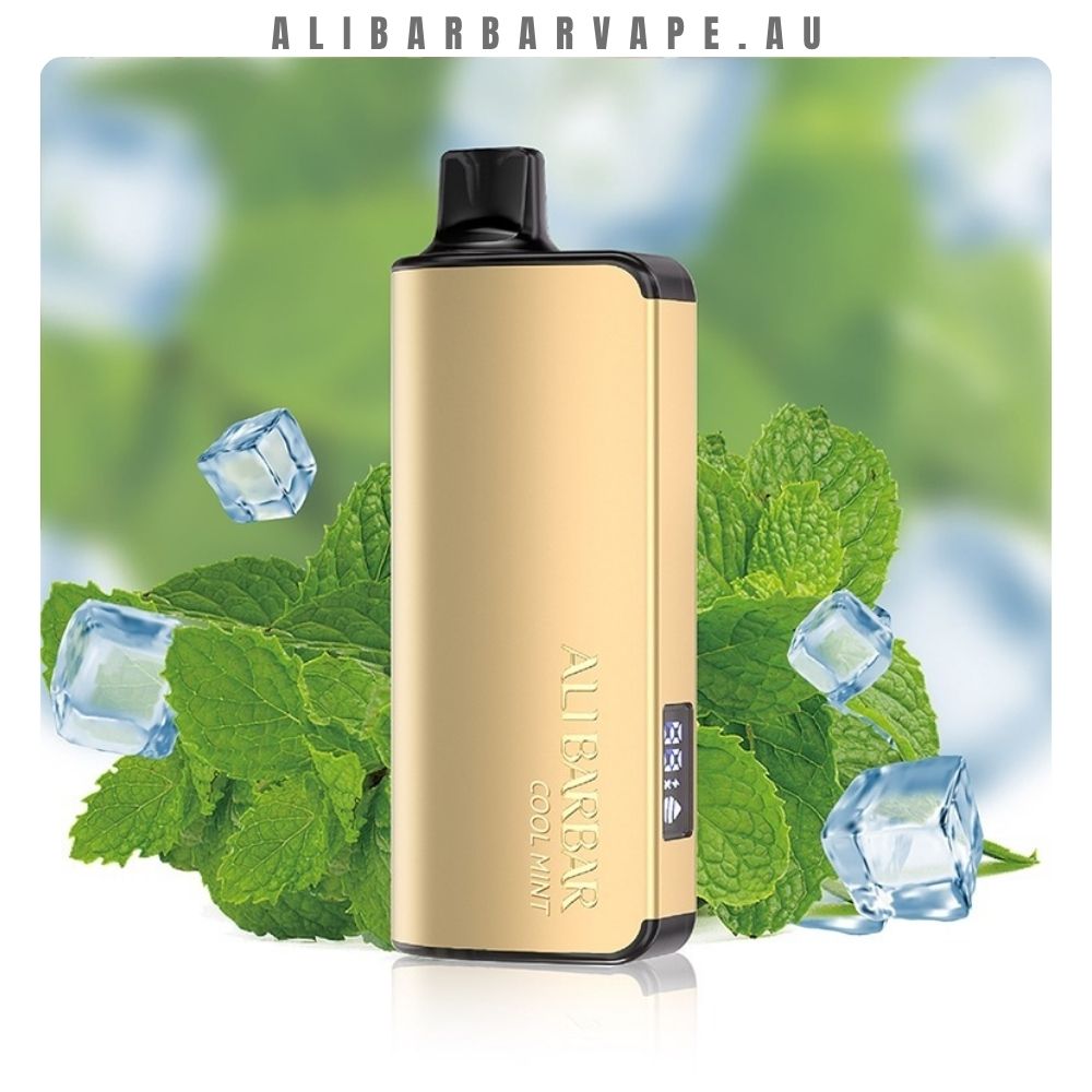 Ingot 9000 Puffs Cool Mint 1 New Zealand Disposable Vape - Online Shop Australia & New Zealand