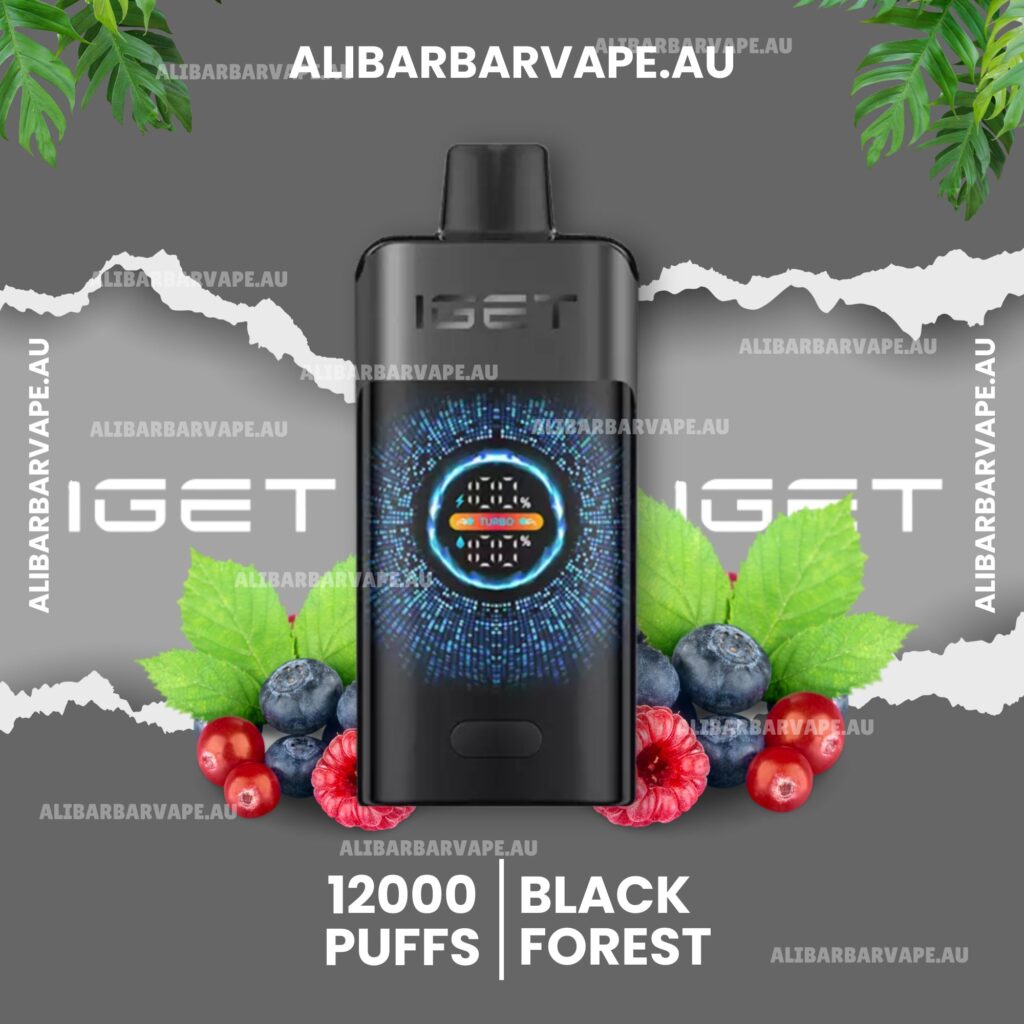 Iget One 12000 Puffs Black Forest Disposable Online Disposable Vape - Online Shop Australia & New Zealand